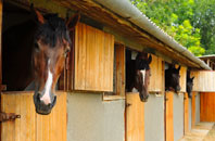 free Walton Grounds stable construction quotes
